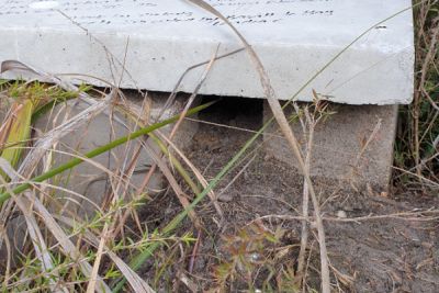 Bandicoot Motel Image: Biodiversity Innovation