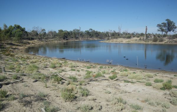 Murray Hardyhead habitat Source: Iain Ellis