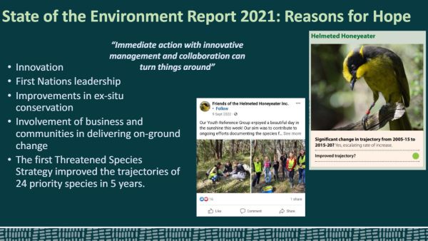 Threatened Species Commissioner talk to SWIFFT 23 May 2024