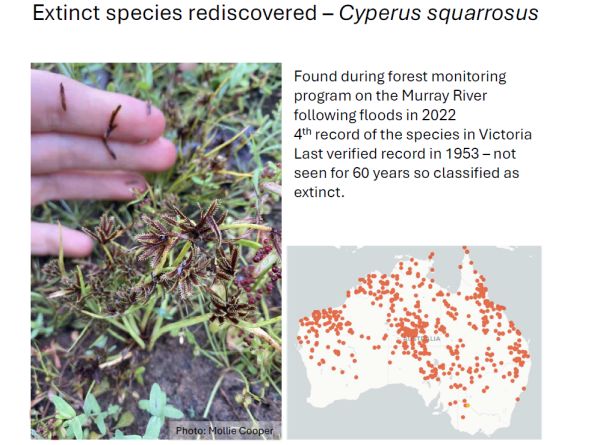 SWIFFT Seminar 31 October 2024 speaker Andre Messina - Botanist, Royal Botanic Gardens Victoria