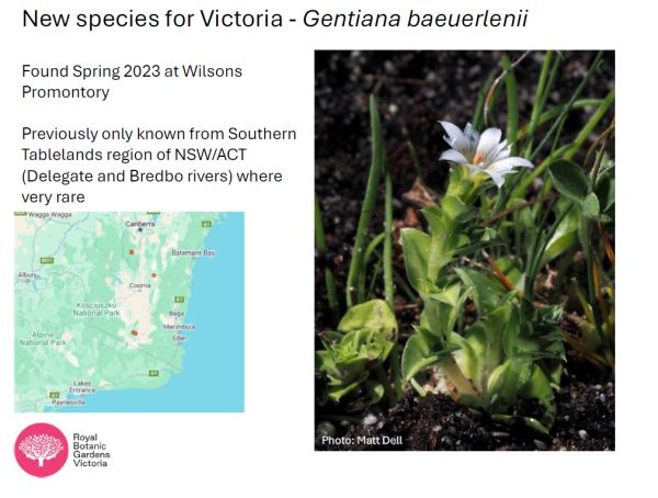 SWIFFT Seminar 31 October 2024 speaker Andre Messina - Botanist, Royal Botanic Gardens Victoria