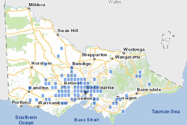 Distribution of Matted Flax-lily in Victoria. Source: Victorian Biodiversity Atlas 2024 DEECA