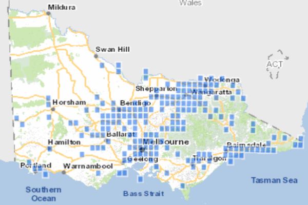 Regent Honeyeater all known historic records up to 2025. Source: VBA 2025